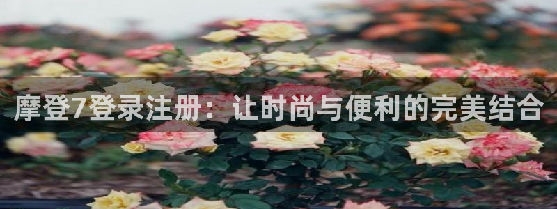 门徒娱乐平台：摩登7登录注册：让时尚与便利的完美结合