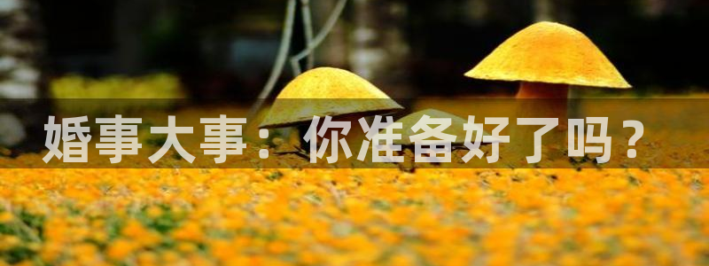 门徒娱乐注册官网入口：婚事大事：你准备好了吗？