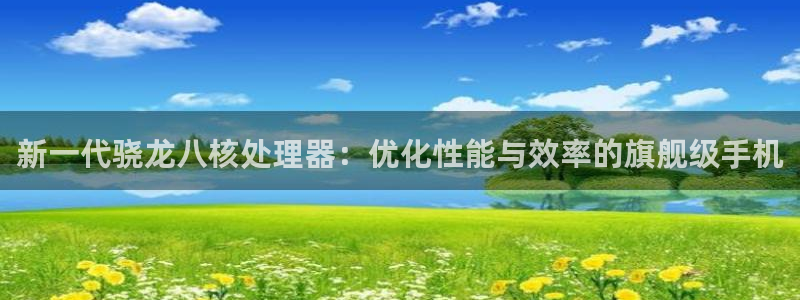 门徒娱乐ccm赏金女王：新一代骁龙八核处理器：优化性能与效率的旗舰级手机