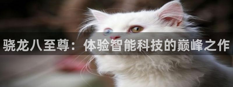 门徒娱乐.ccm苹果版：骁龙八至尊：体验智能科技的巅峰之作