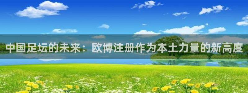 门徒娱乐app下载：中国足坛的未来：欧博注册作为本土力量的新高度