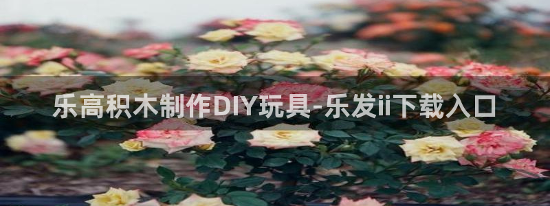 门徒娱乐是正规平台吗：乐高积木制作DIY玩具-乐发ii下载入口
