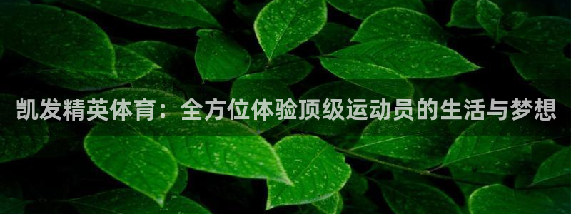 上海门徒娱乐汽车电子有限公司：凯发精英体育：全方位体验顶级运动员的生活与梦想