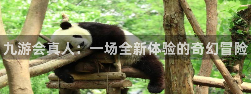 福建门徒娱乐机电股份公司：九游会真人：一场全新体验的奇幻冒险