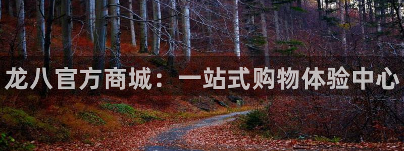 门徒娱乐官网版下载：龙八官方商城：一站式购物体验中心