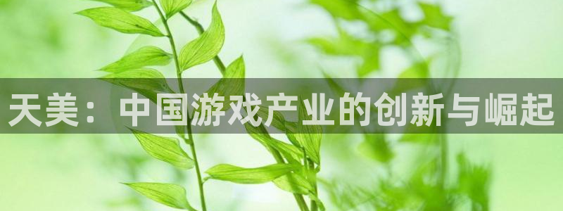 门徒娱乐官网下载：天美：中国游戏产业的创新与崛起
