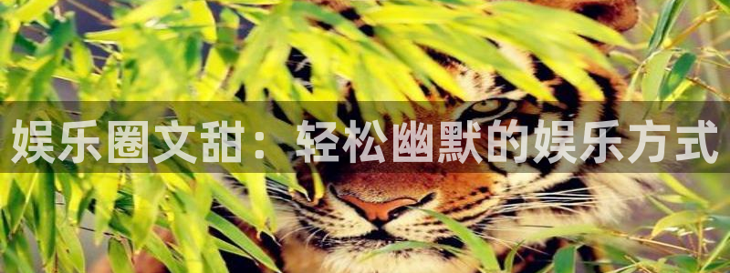 门徒娱乐手机版下载：娱乐圈文甜：轻松幽默的娱乐方式