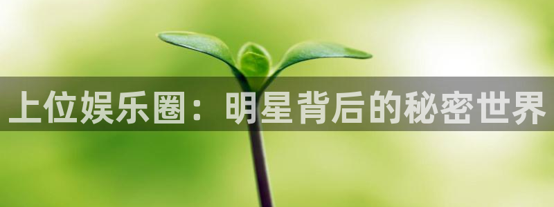 门徒娱乐注册网站app：上位娱乐圈：明星背后的秘密世界