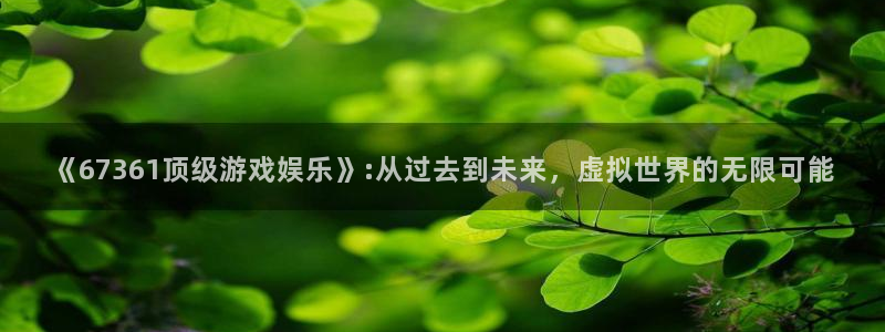 门徒娱乐体育代理申请流程：《67361顶级游戏娱乐》:从过去到未来，虚拟世界的无
