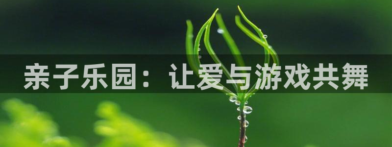 门徒娱乐平台登录入口：亲子乐园：让爱与游戏共舞