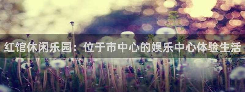门徒娱乐5：红馆休闲乐园：位于市中心的娱乐中心体验生活