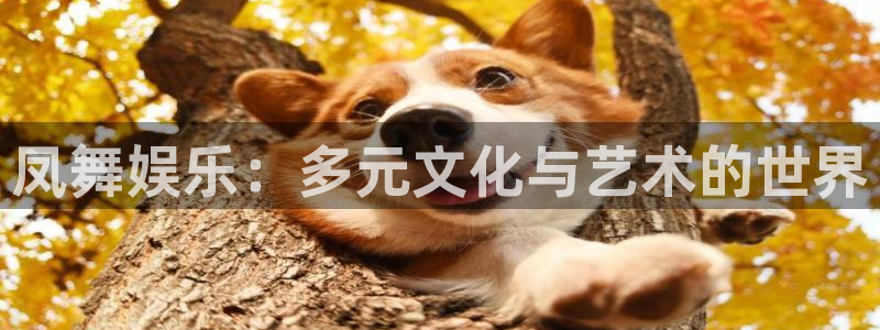 门徒娱乐现在优惠多少：凤舞娱乐：多元文化与艺术的世界