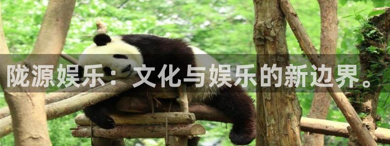 门徒娱乐能源：陇源娱乐：文化与娱乐的新边界。