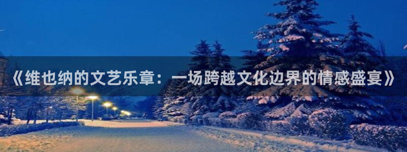 东莞市门徒娱乐电子科技有限公司：《维也纳的文艺乐章：一场跨越文化边界的情感盛宴》