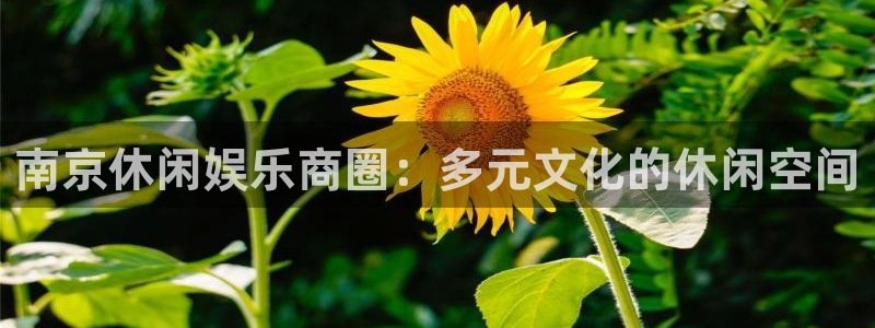 门徒娱乐5注册：南京休闲娱乐商圈：多元文化的休闲空间
